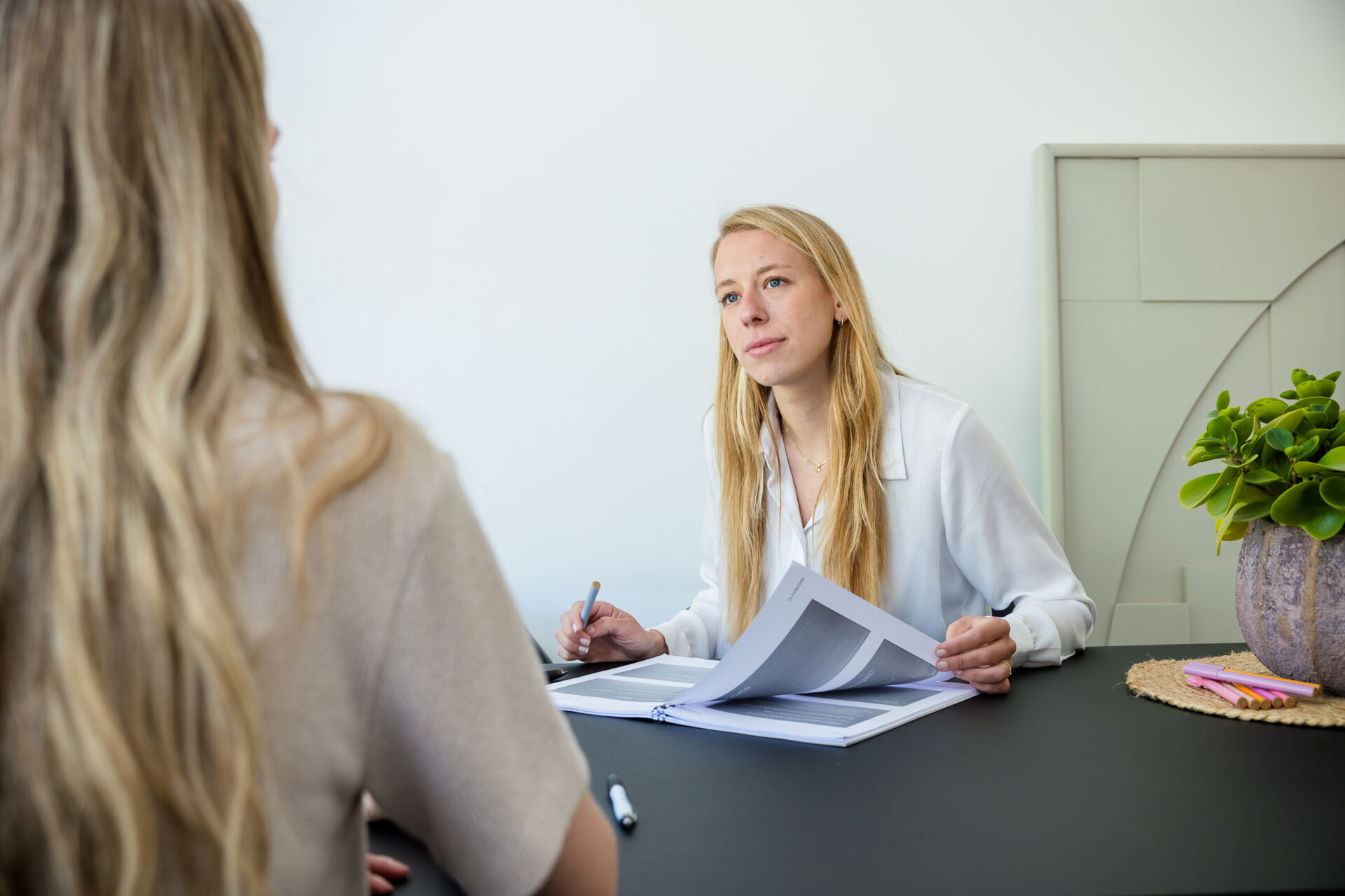 landscape collegiaal overleg