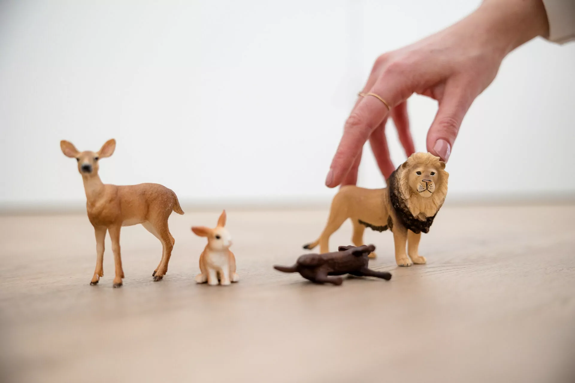 traumasensitief werken in praktijk